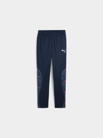 Спортивні штани PUMA Active Sports Poly Pants модель 679217 Фото