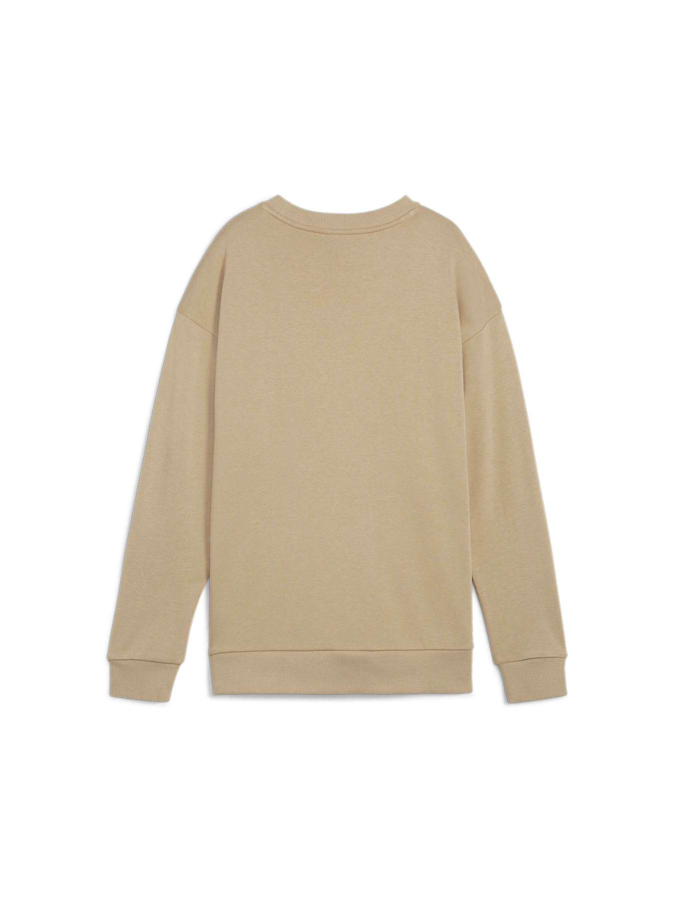 Свитшот PUMA Ess+ Relaxed Small Logo Crew модель 678742 Фото