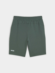 Повседневные шорты PUMA Rad/cal Shorts модель 678918 Фото