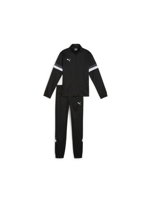 Спортивный костюм PUMA Teamrise Tracksuit Jr модель 658655 Фото