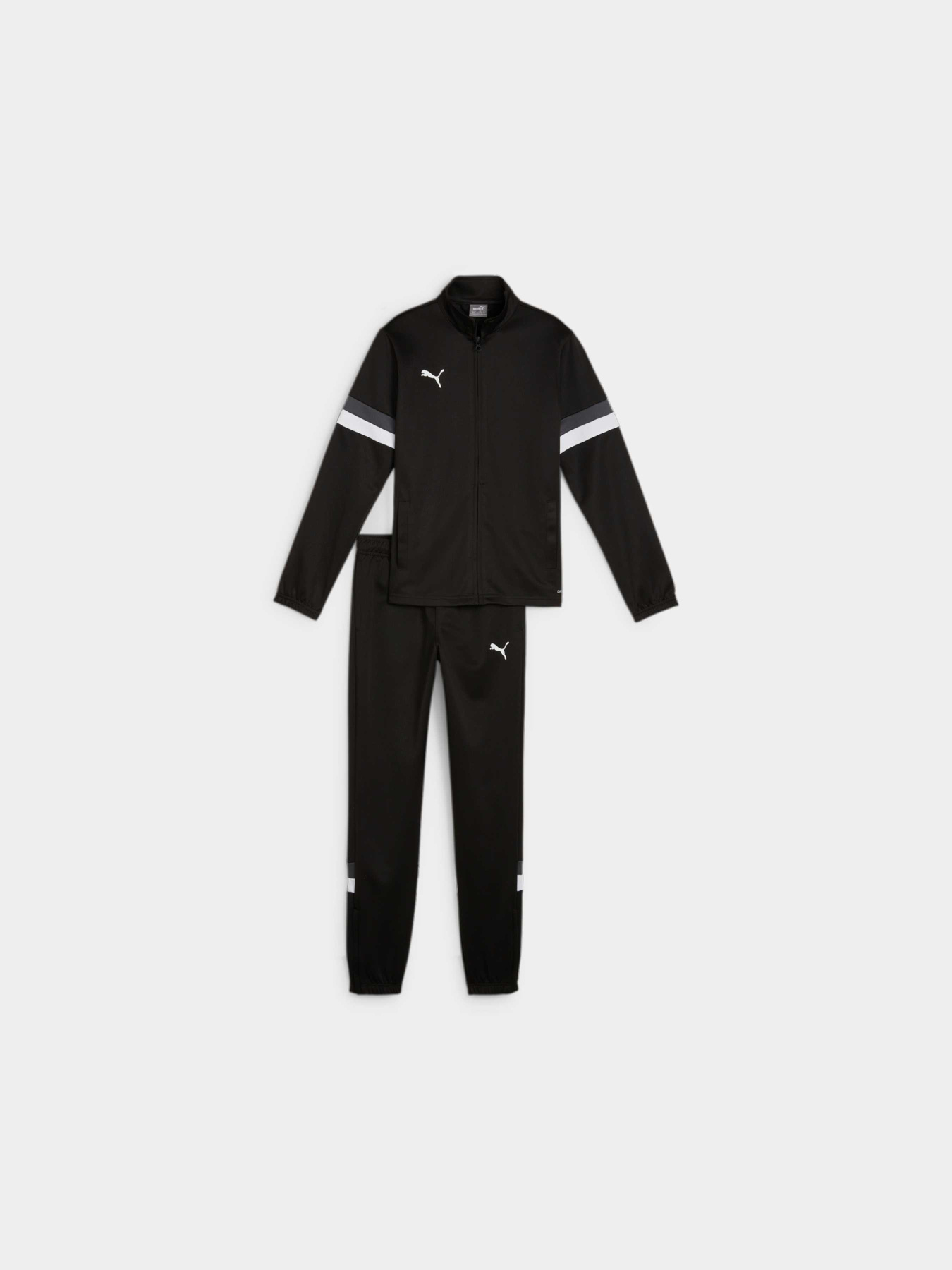 Спортивный костюм PUMA Teamrise Tracksuit Jr модель 658655 Фото