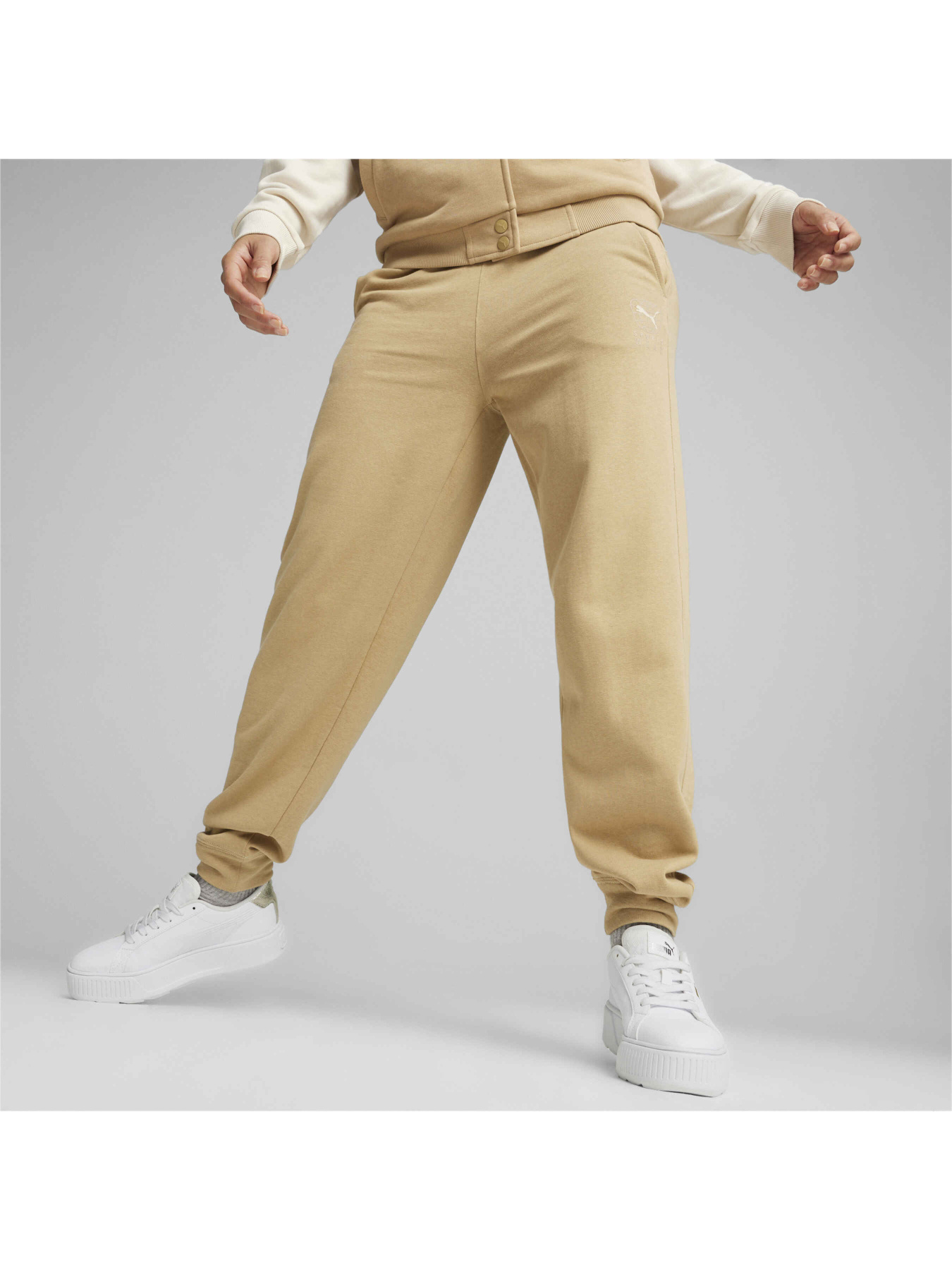 Штаны спортивные PUMA Better Sportswear Sweatpants модель 679010 Фото
