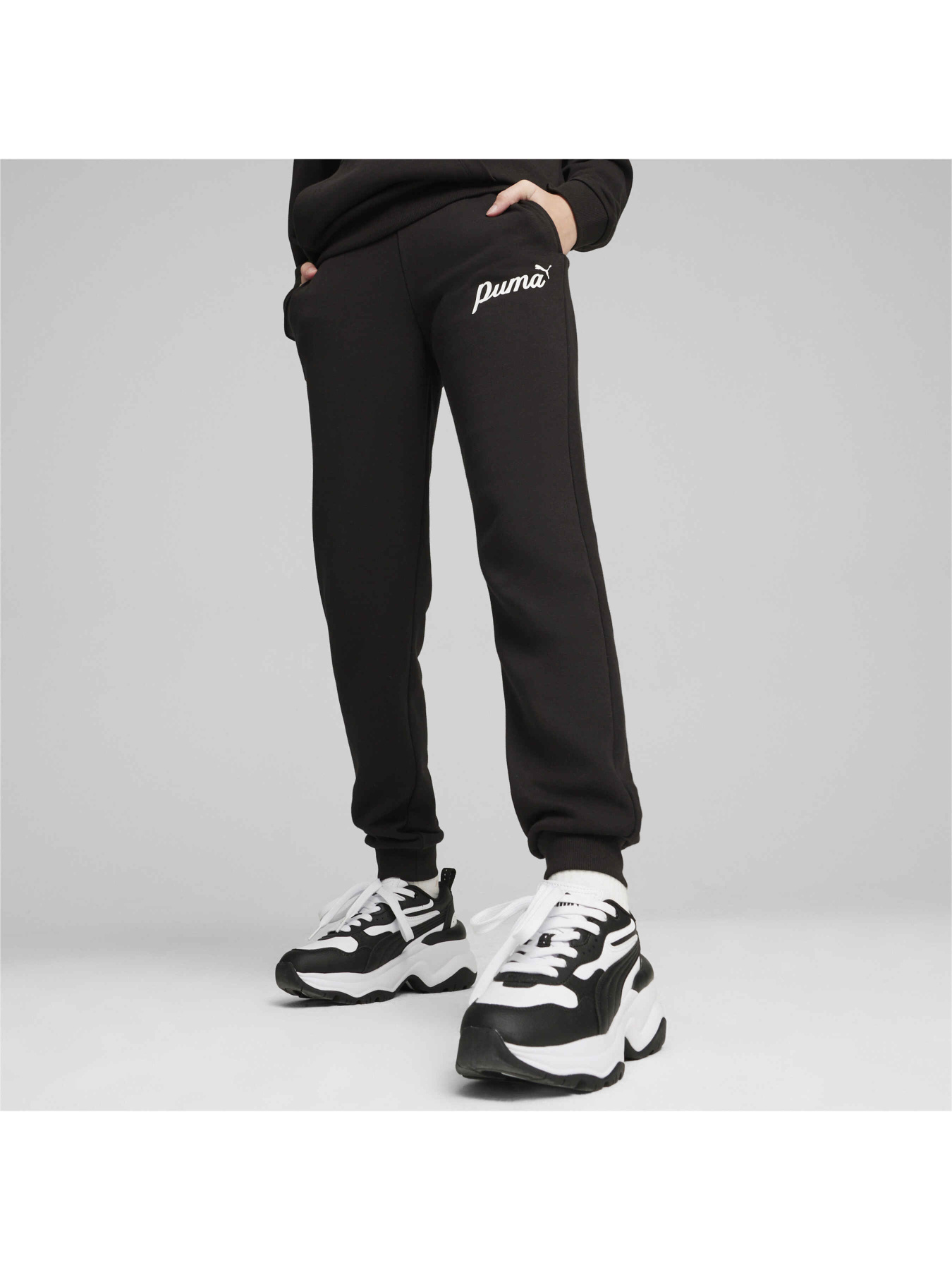 Джоггеры PUMA Ess+ Script Pants Tr модель 679407 Фото