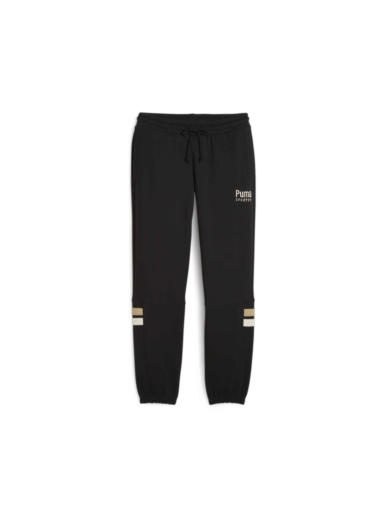 Штаны спортивные PUMA Team Sweatpants модель 624344 Фото