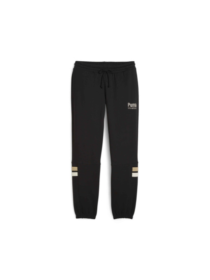 Штани спортивні PUMA Team Sweatpants модель 624344 - фото