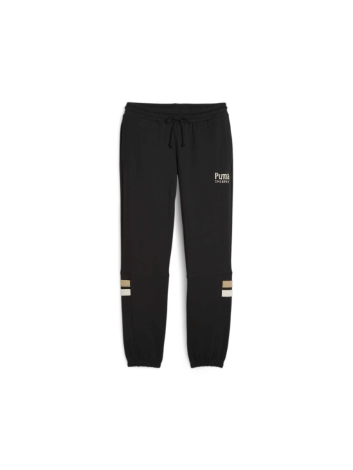 Штаны спортивные PUMA Team Sweatpants модель 624344 Фото