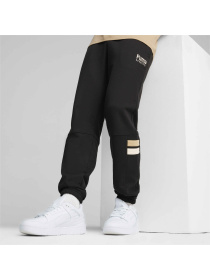 Спортивні штани PUMA Team Sweatpants модель 624344 Фото