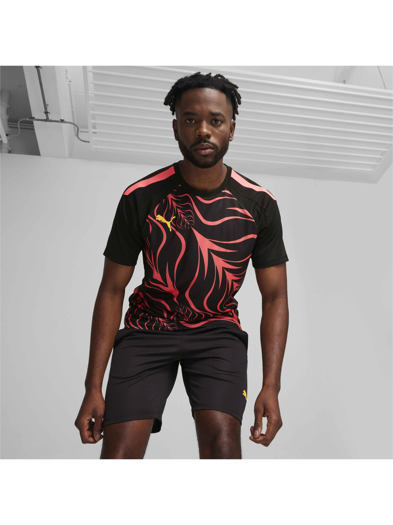 Футболка спортивная PUMA Individualliga Graphicjersey модель 658984 Фото