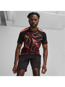 Футболка спортивная PUMA Individualliga Graphicjersey модель 658984 Фото