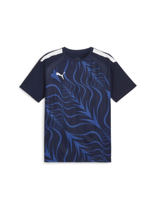 Спортивная футболка PUMA Individualliga Graphicjersey модель 658984 Фото