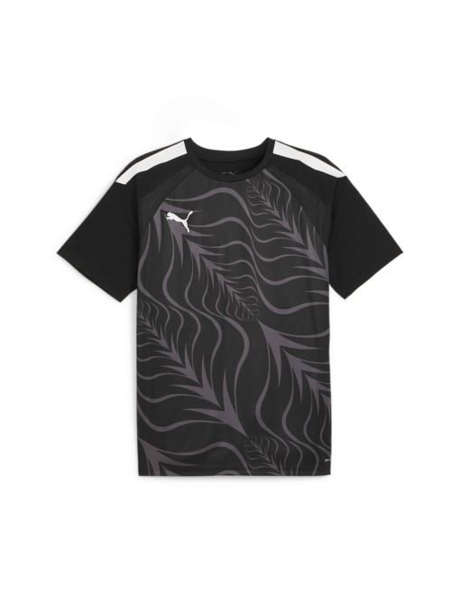 Спортивная футболка PUMA Individualliga Graphicjersey модель 658984 Фото