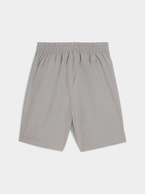 Повсякденні шорти PUMA Desert Road Cargo Shorts модель 678922 Фото