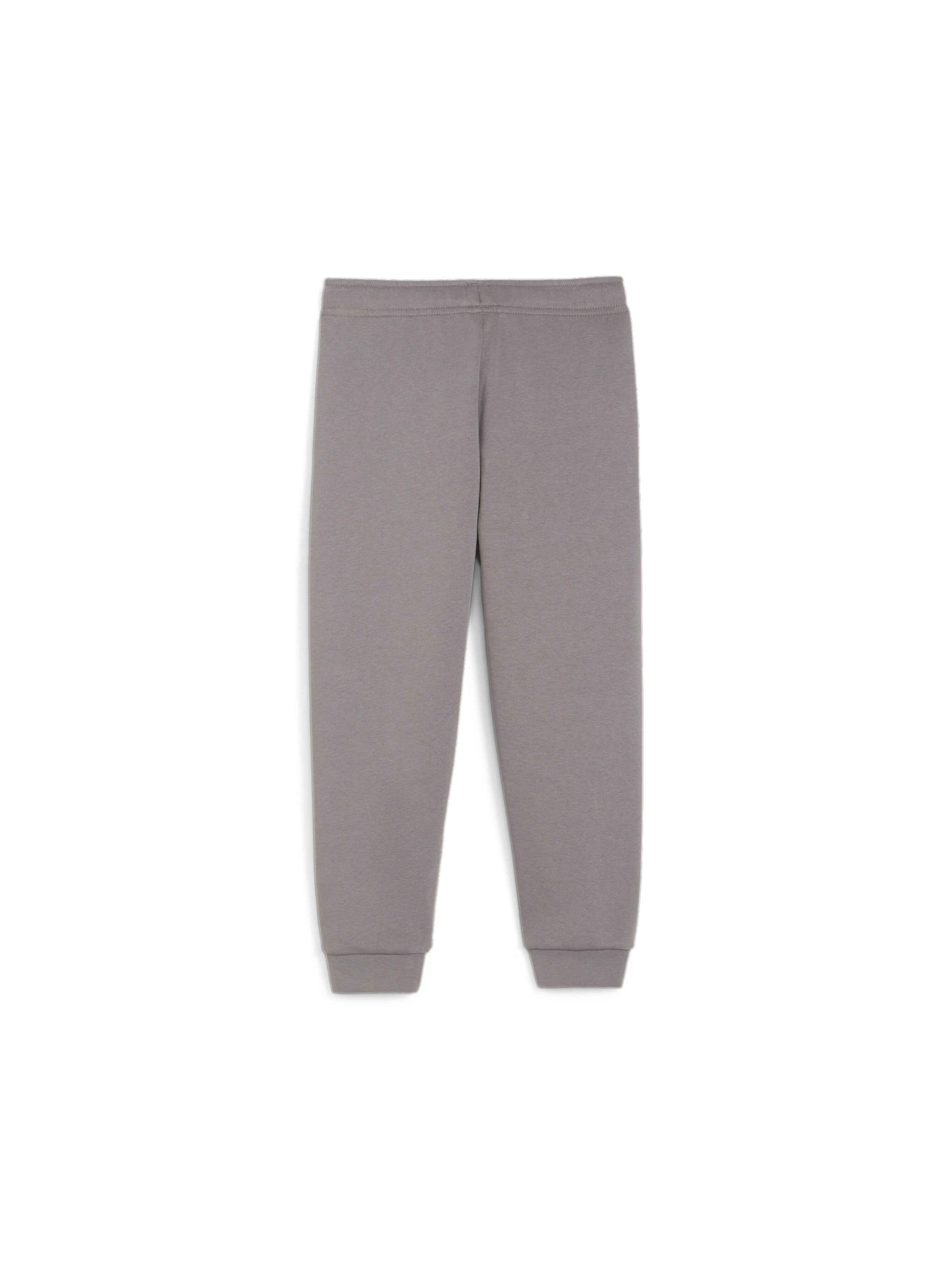 Спортивні штани PUMA Ess+ Summer Camp Sweatpants модель 679277 Фото