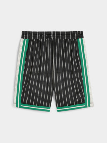 Шорты PUMA T7 Mesh Shorts модель 624394 Фото