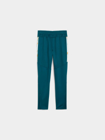Штаны спортивные PUMA Njr Creativity Trg Pants Jr модель 658957 Фото