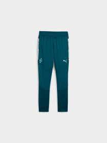 Штаны спортивные PUMA Njr Creativity Trg Pants Jr модель 658957 Фото