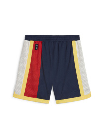 Шорты спортивные PUMA Showtime Mesh Short модель 624744 Фото
