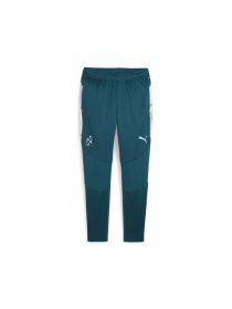 Спортивні штани PUMA Njr Creativity Trg Pants модель 658951 Фото