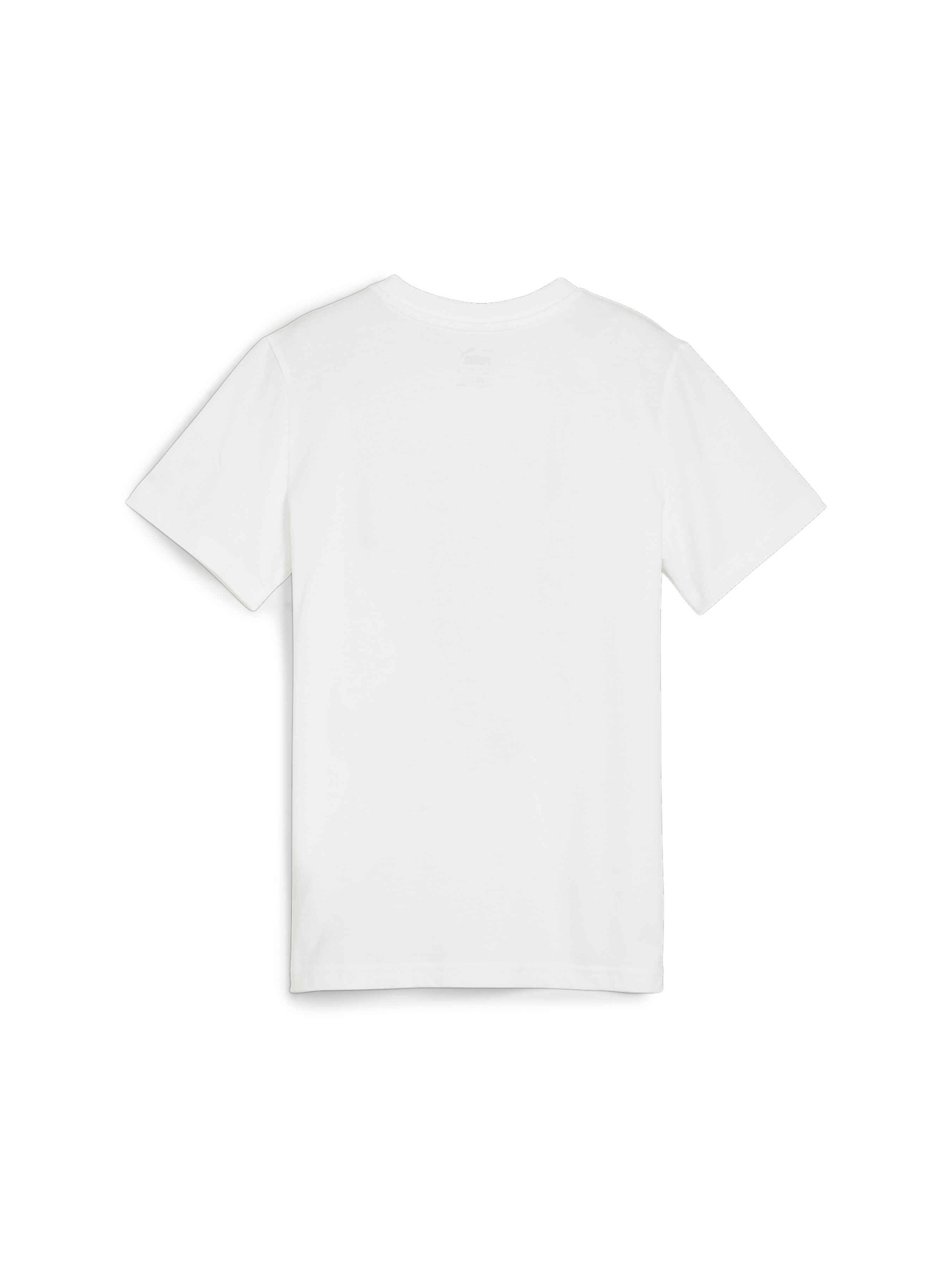 Футболка PUMA Basketball Blueprint Tee модель 679282 Фото