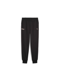 Джогери PUMA Pl Ess Pants модель 625876 Фото