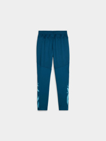 Штаны спортивные PUMA Indfinal Training Pants Jr модель 659024 Фото
