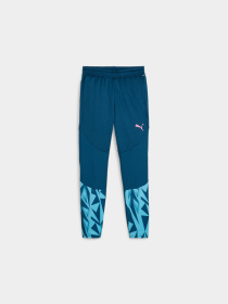 Штаны спортивные PUMA Indfinal Training Pants Jr модель 659024 Фото