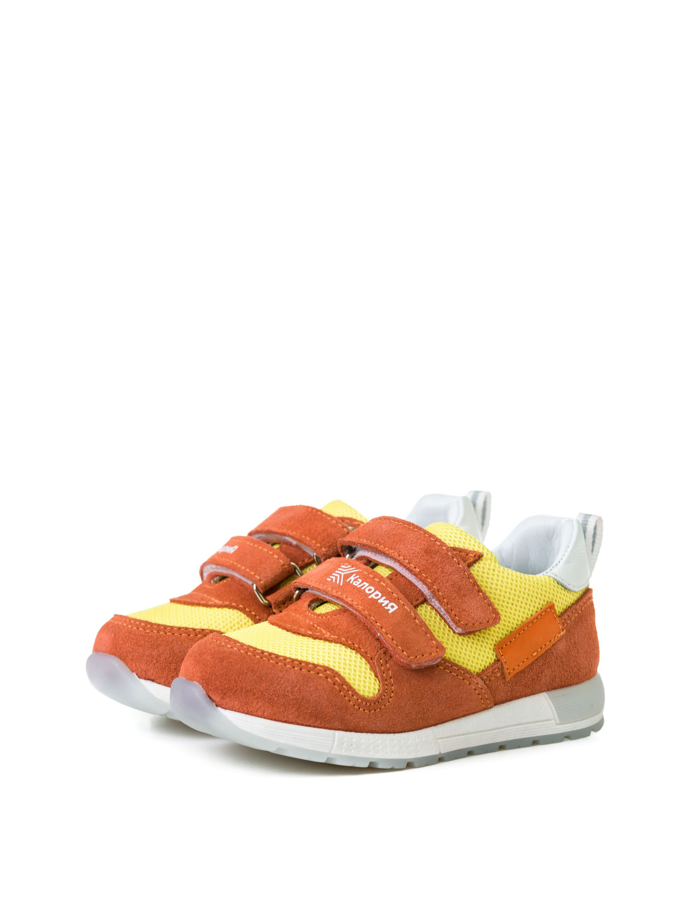 Кросівки повсякденні Calorie  модель 78370 Фото