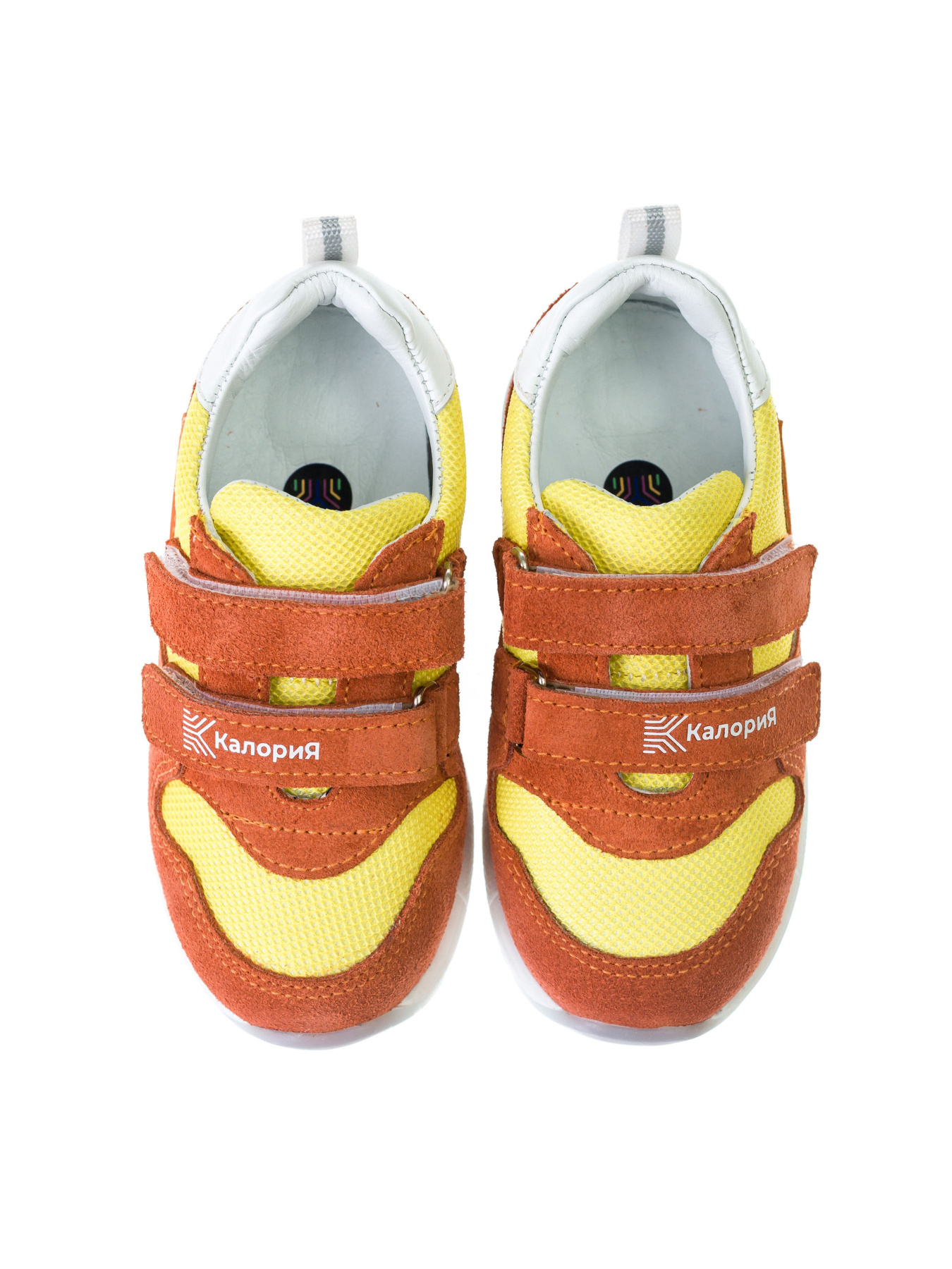 Кросівки повсякденні Calorie  модель 78370 Фото