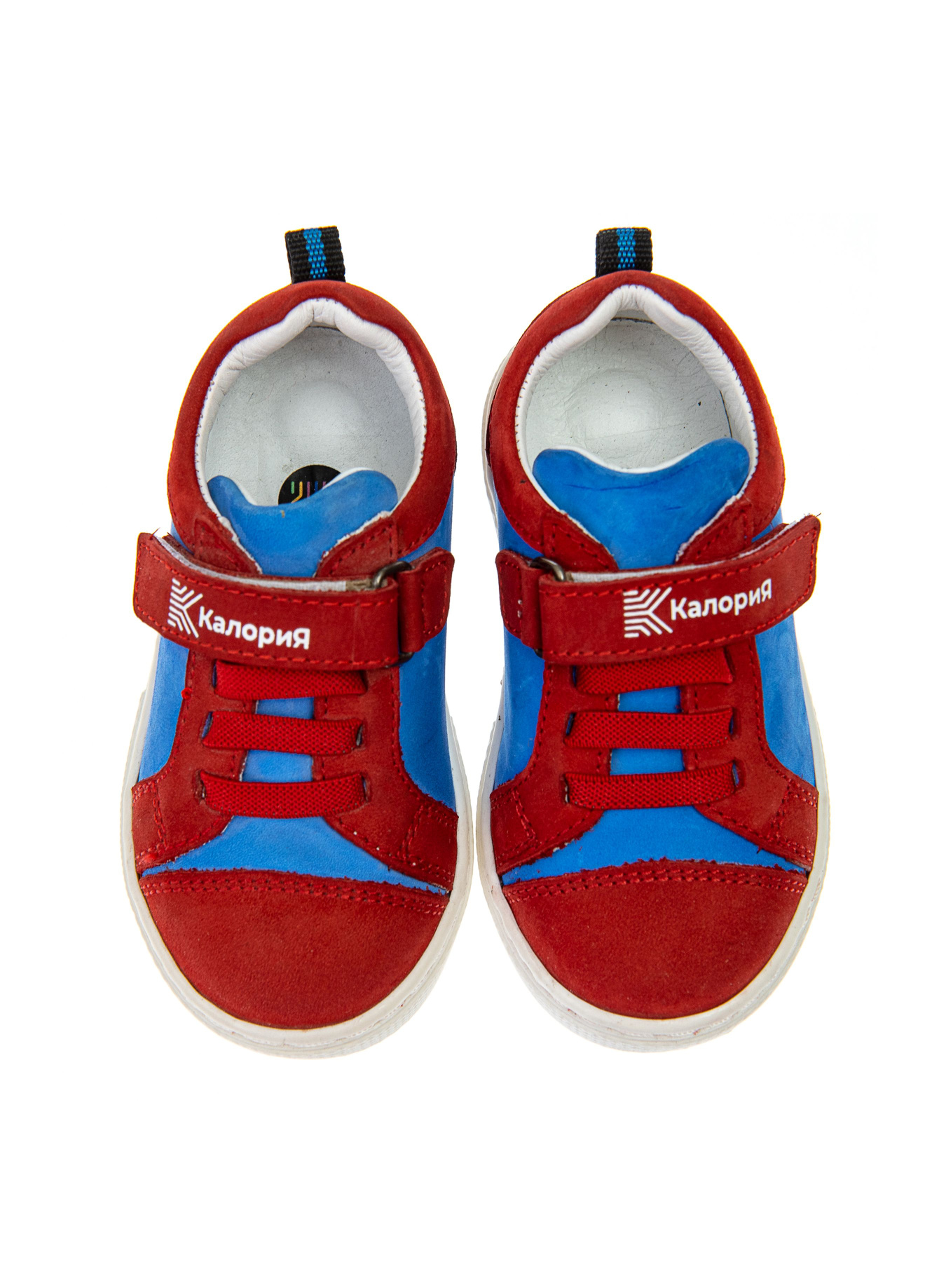 Кеды низкие Calorie  модель 78373 Фото