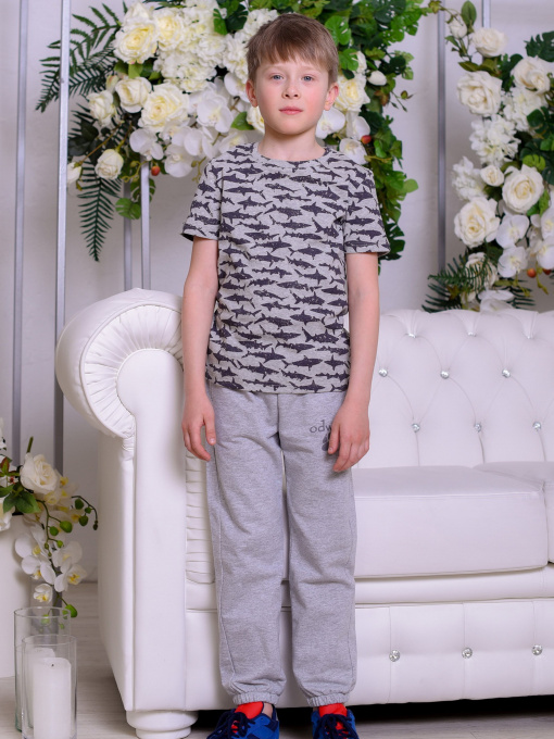 Футболка ODWEEK модель 113920 Фото