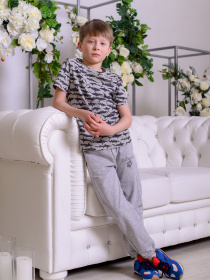 Футболка ODWEEK модель 113920 Фото