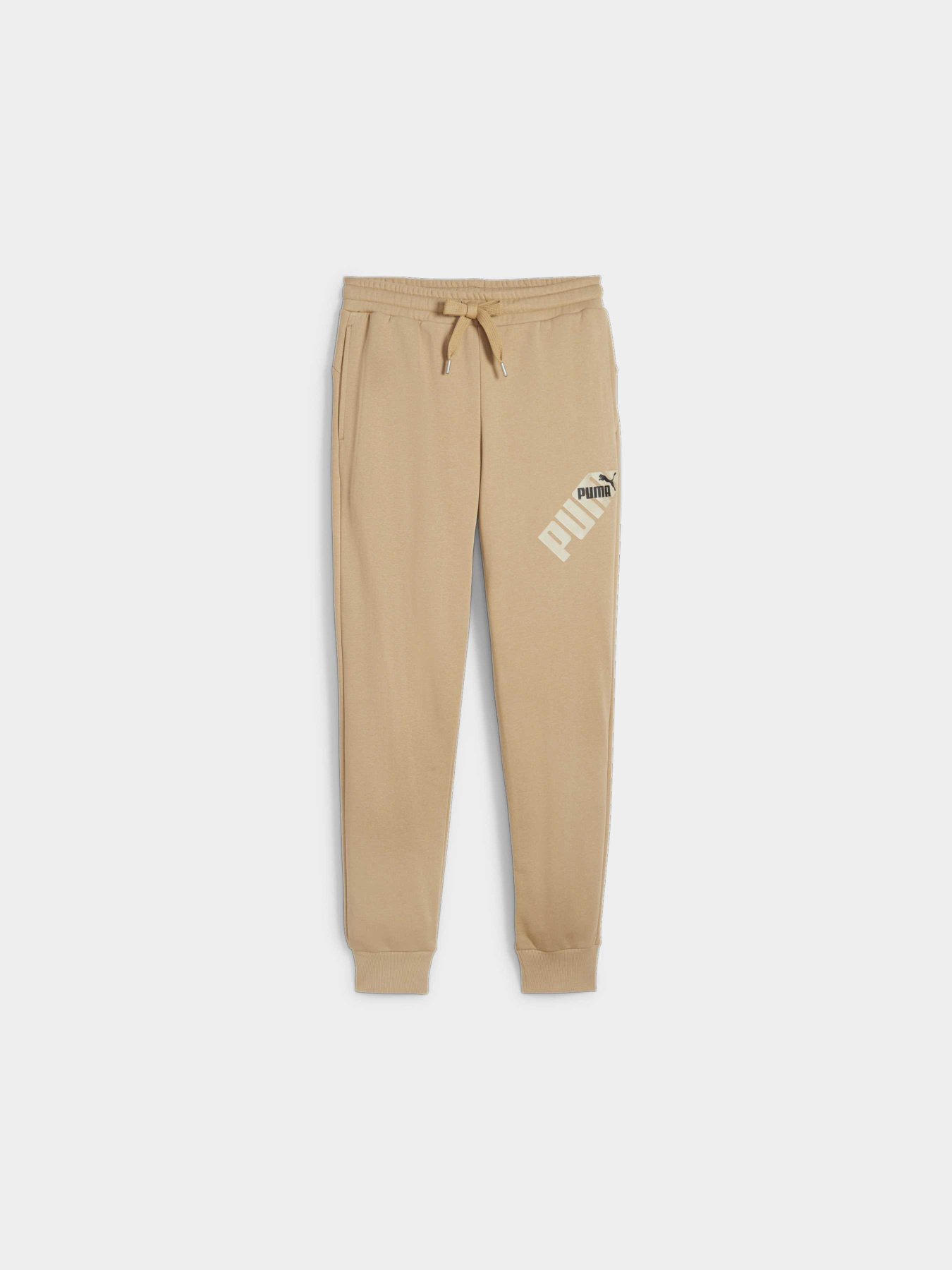 Штани спортивні PUMA Power Sweatpants модель 678936 Фото