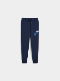 Штаны спортивные PUMA Power Sweatpants модель 678936 Фото
