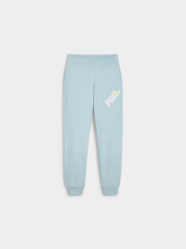 Штаны спортивные PUMA Power Pants Tr модель 677895 Фото