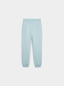 Штаны спортивные PUMA Power Pants Tr модель 677895 Фото