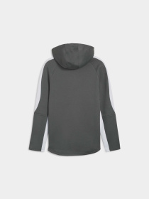 Кофта спортивна PUMA Evostripe Full-zip Hoodie модель 678995 Фото