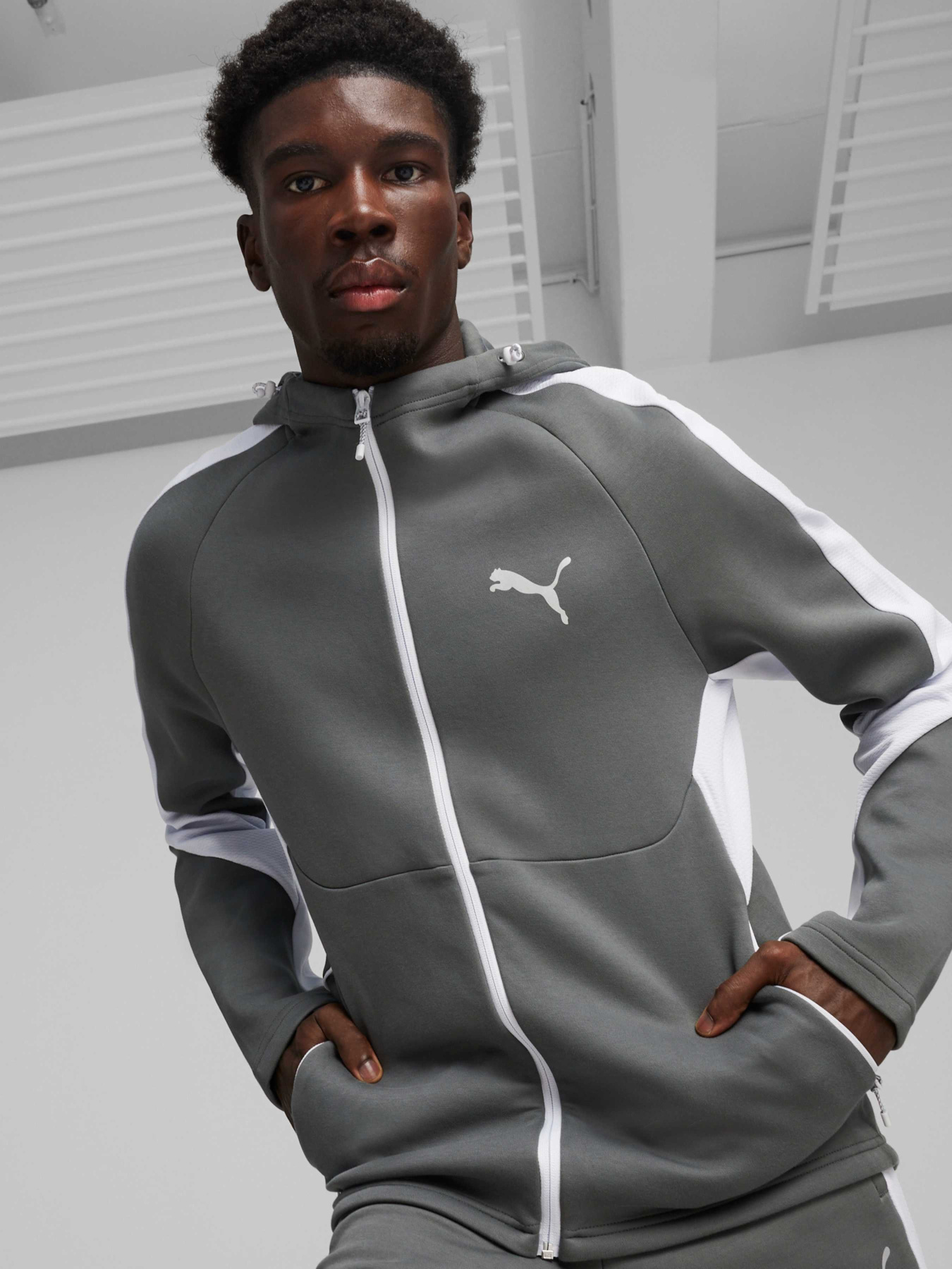 Спортивна кофта PUMA Evostripe Full-zip Hoodie модель 678995 Фото