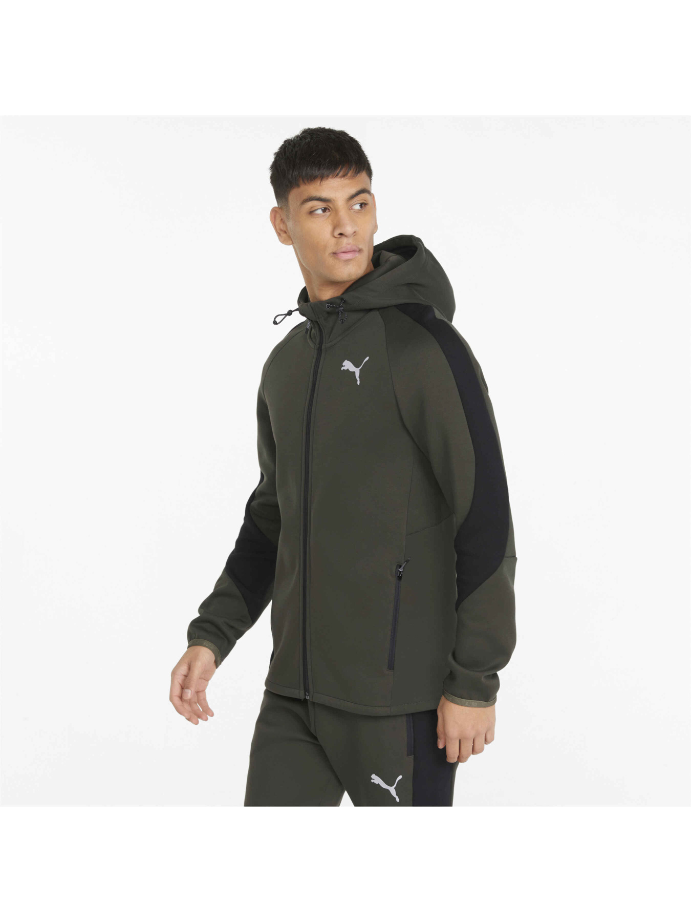Кофта спортивная PUMA Evostripe Full-zip Hoodie модель 847401 Фото