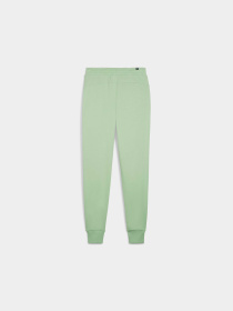 Штаны спортивные PUMA Ess+ 2 Col Logo Pants модель 586768 Фото