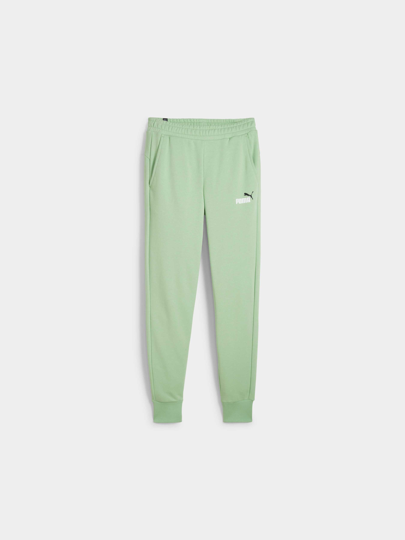 Штаны спортивные PUMA Ess+ 2 Col Logo Pants модель 586768 Фото
