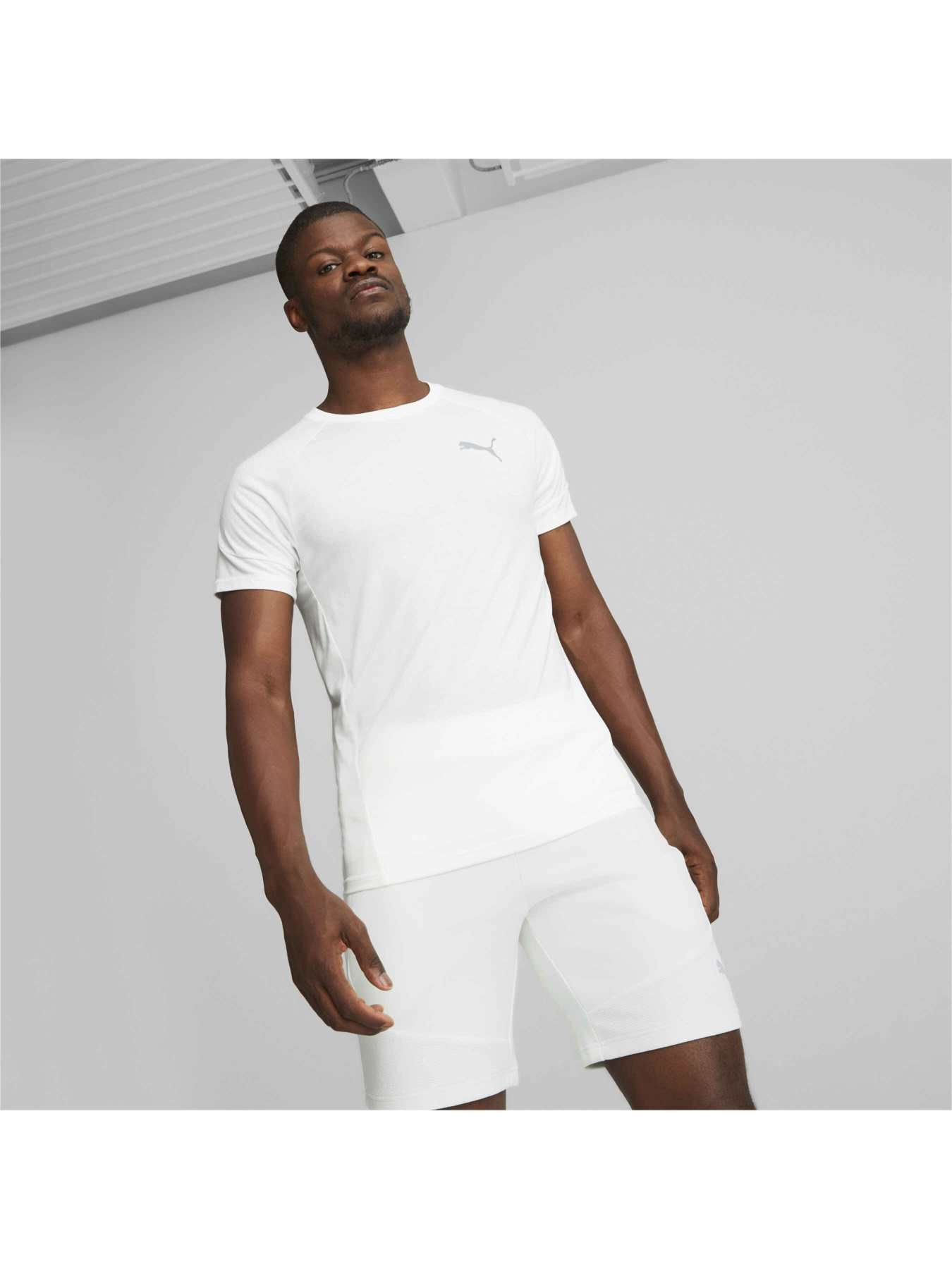 Футболка спортивная PUMA Evostripe Tee модель 673311 Фото