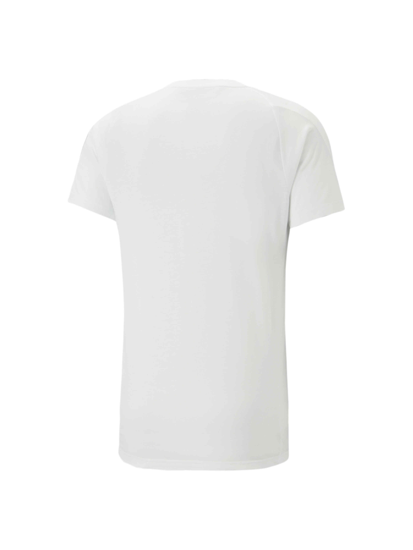 Спортивная футболка PUMA Evostripe Tee модель 673311 Фото