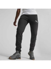 Спортивні штани PUMA Evostripe Pants модель 673315 Фото