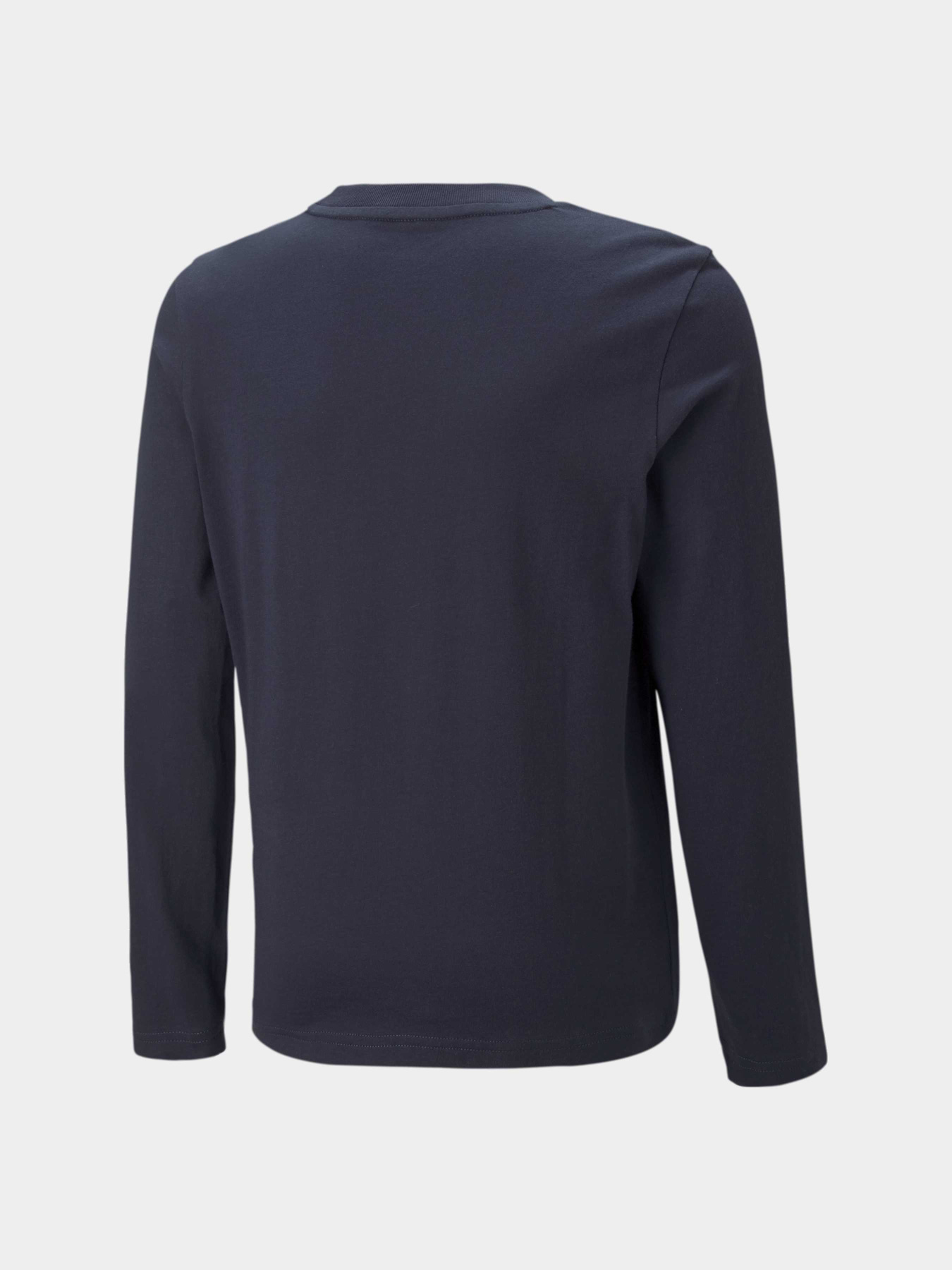 Лонгслив PUMA Active Sports Longsleeve модель 670073 Фото
