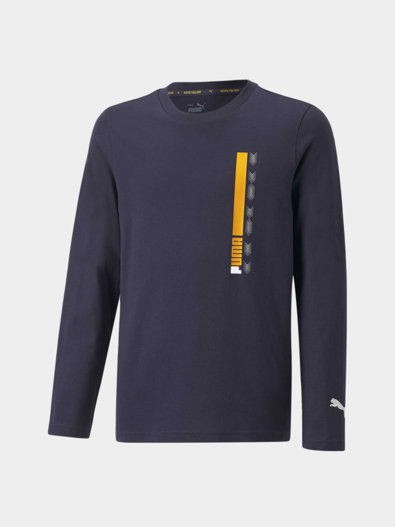 Худи и свитшоты PUMA Active Sports Longsleeve модель 670073 Фото