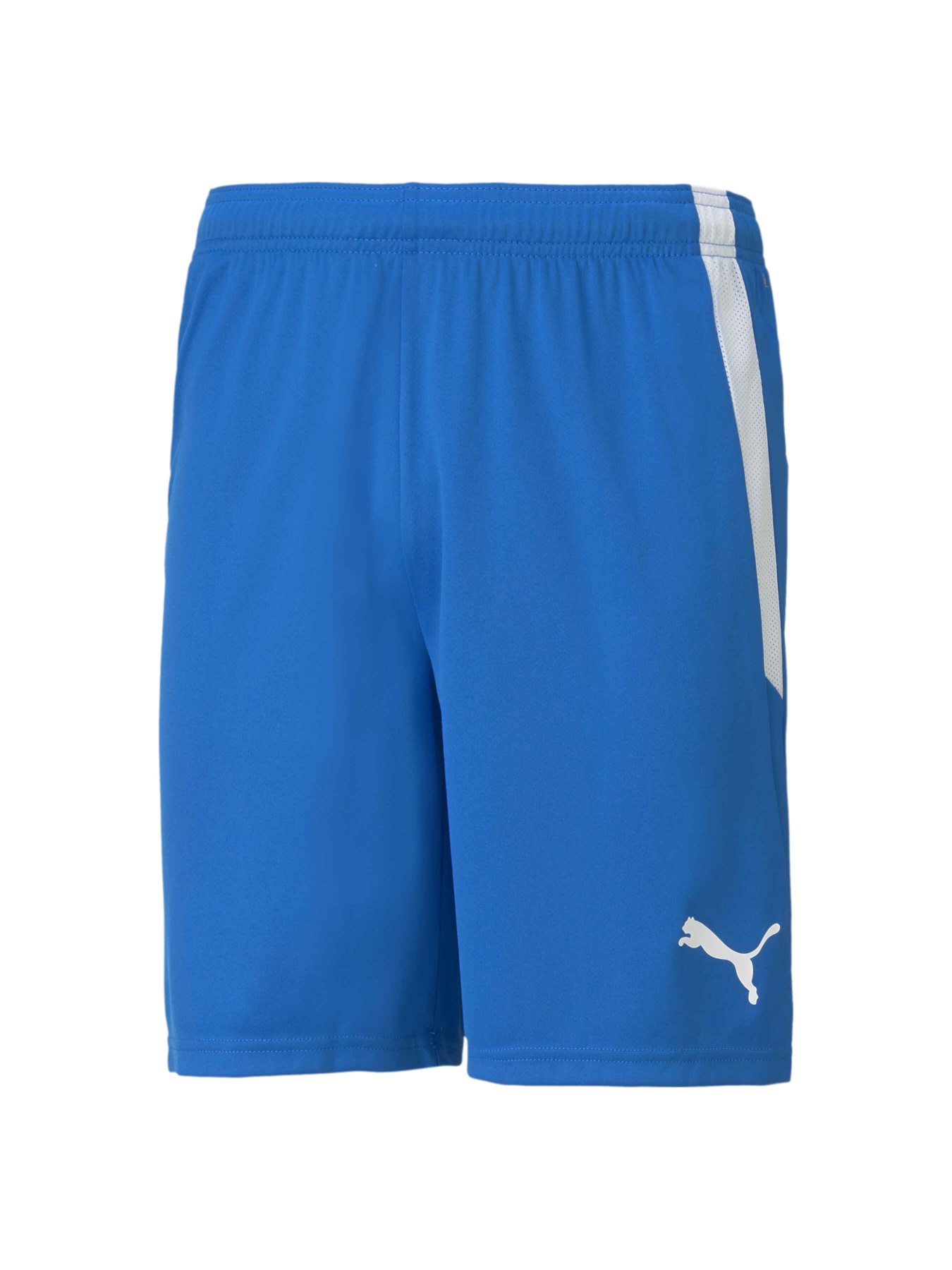 Спортивні шорти PUMA Teamliga Shorts модель 704924 Спортивні шорти PUMA Teamliga Shorts модель 704924 Фото
