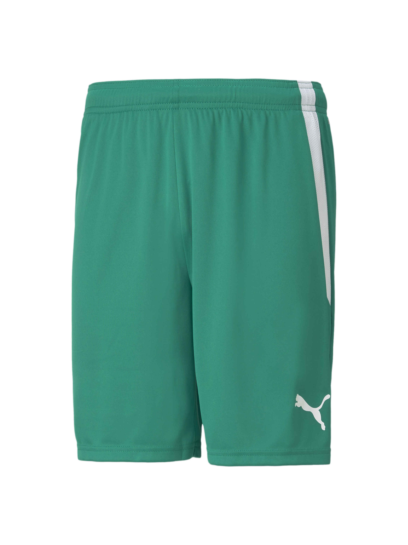 Шорти спортивні PUMA Teamliga Shorts модель 704924 Фото