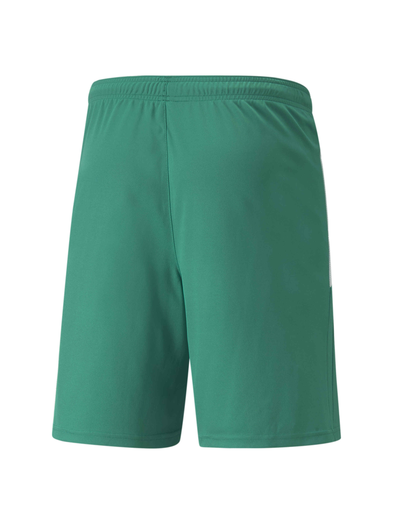 Спортивні шорти PUMA Teamliga Shorts модель 704924 Спортивні шорти PUMA Teamliga Shorts модель 704924 Фото