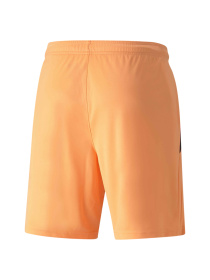 Шорты спортивные PUMA Teamliga Shorts модель 704924 Фото