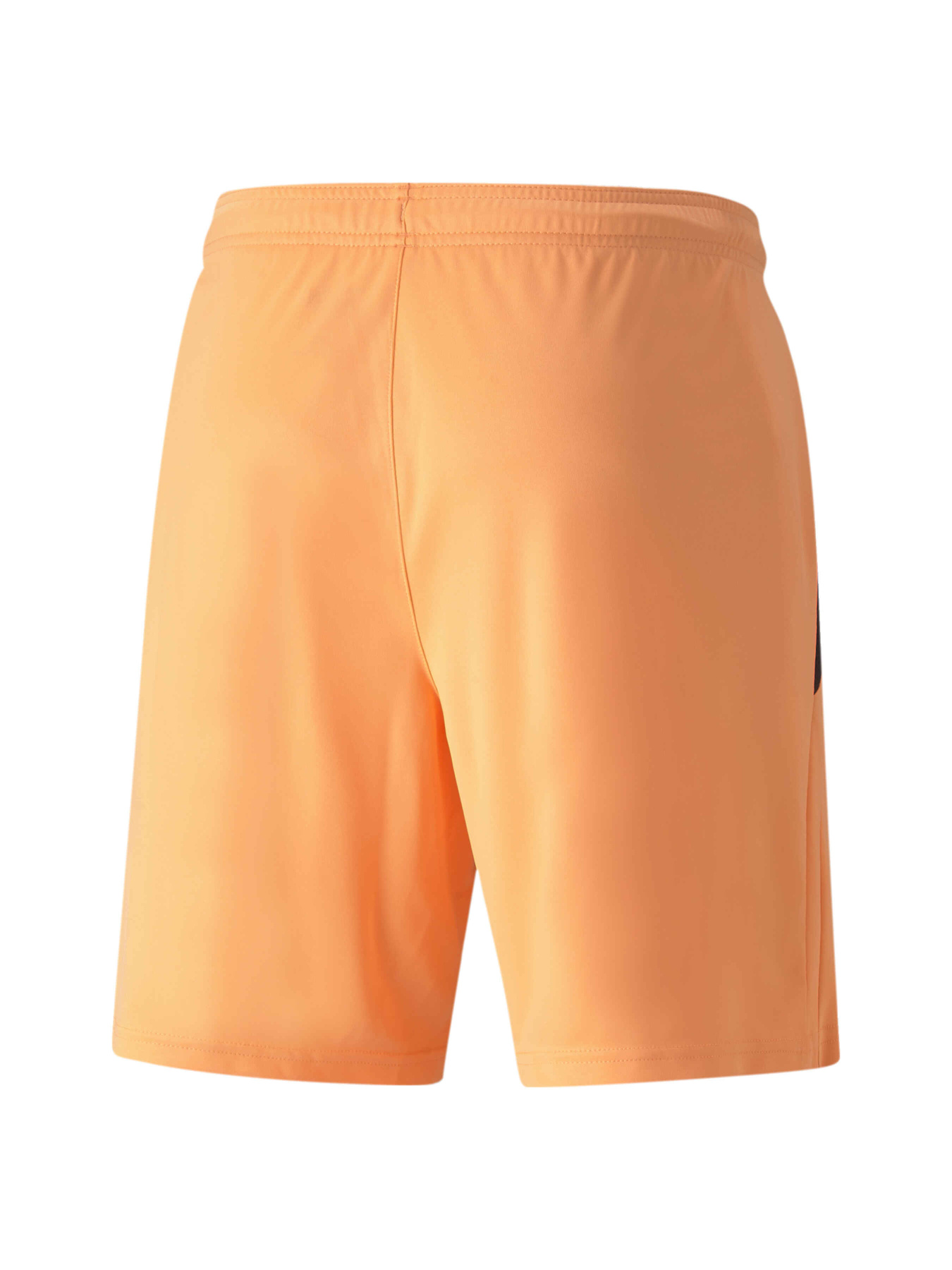 Шорты спортивные PUMA Teamliga Shorts модель 704924 Шорты спортивные PUMA Teamliga Shorts модель 704924 Фото